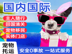 咸阳机场货运国际宠物托运 【国